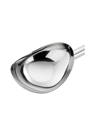 Zwilling Pro Dondurma Kaşığı, 21 Cm, Metalik Gri, 18/10 Paslanmaz Çok Renkli
