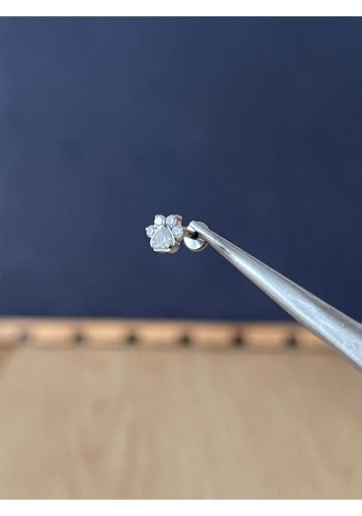 %100 G23 Titanyum Pırlanta Model Pati Model Titanyum Labret Kıkırdak Piercing Gümüş - Bronz