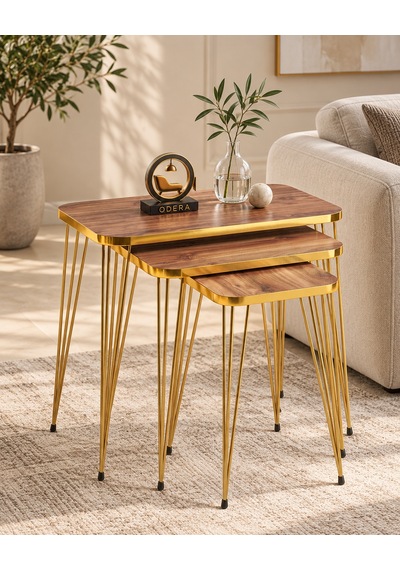 Odera Gold Ceviz Zigon Sehpa 3'lü Set Metal Tel Ayaklı Modern Retro Salon Sehpası Diğer