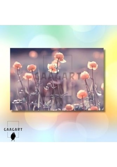 Tablosu 70 X 120 -