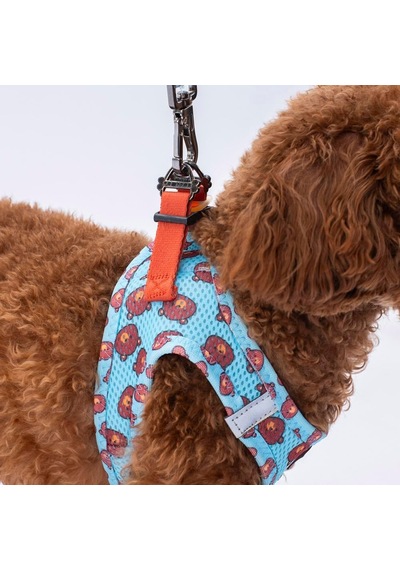 Pawstar Air-mesh Bears Köpek Göğüs Tasması Xs Genel
