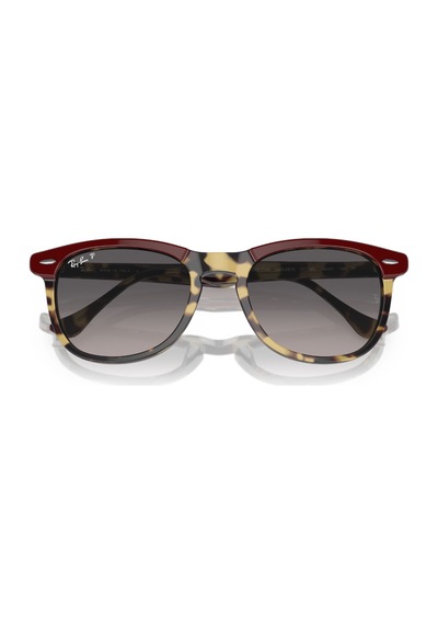 Rb 2398 1377m3 53 Ray-Ban Eagleeye Polarize Güneş Gözlüğü Siyah