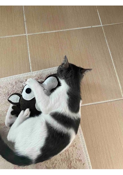 Dino Geyik 28 Cm Catnip + Kedi Zili