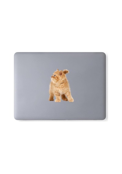 Karışık 260 Adet Sevimli Kediler Notebook, Tablet, Telefon Sticker Seti 20 Sayfa Tek Ebat