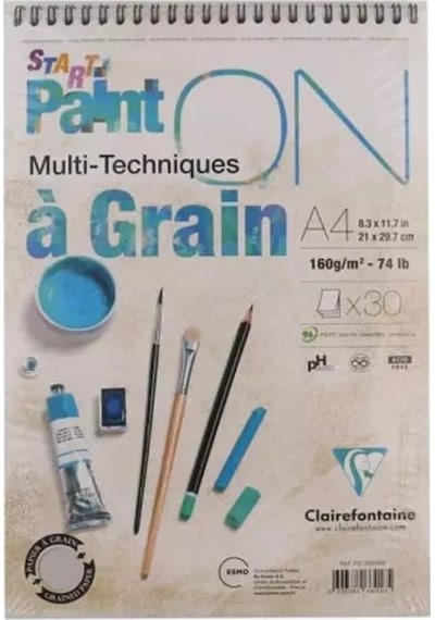 Clairefontaine Paınt-on Pd966418 A4 160 G