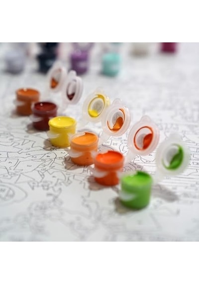 Sayılarla Boyama Tuval Seti Fırça Boya Dahil Çıtalı 40x50 Cm - Kabe