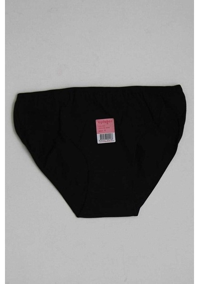 Aydoğan Kadın Likralı Bikini Külot 0181-12 Adet