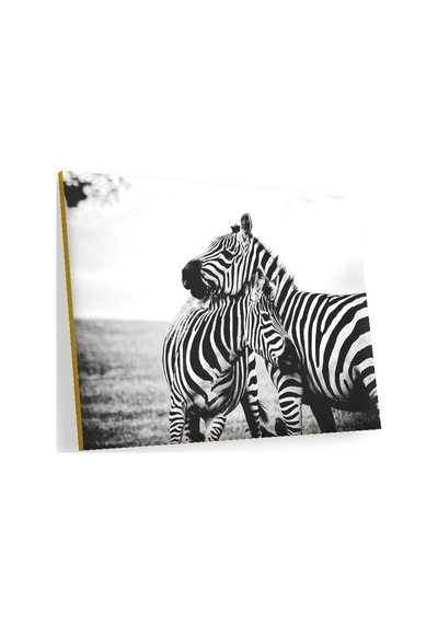 Cakasepetim Anne Zebra Ve Yavrusu Siyah Beyaz Ahşap Mdf Tablo