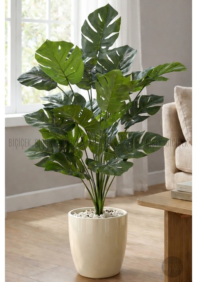 Biçiçek Yapay Monstera Deve Tabani 60 Cm Krem Yakut Saksıda