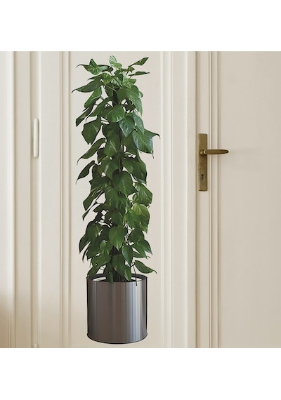 Saksılı Bitki Tasarımlı Yapışkanlı Sticker Resim 90 30 Cm Mc-665 Yeşil