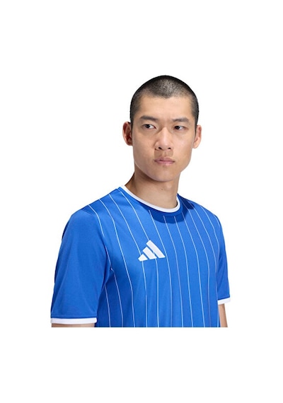 Adidas Ent26 Gfx Jsy Erkek Futbol Forması Kb3979 Mavi
