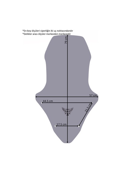 ABV Honda PCX Füme Tur Camı 79 x 57 CM (21-24) + Bağlantı Ekipmanı