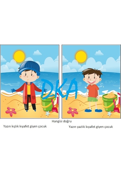 Doğru  Yanlış  Kartları