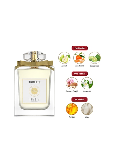Thalia Timeless Tribute Kadın Parfüm EDP 100 ML
