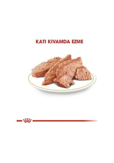 Royal Canin Persian Loaf Pouch Yetişkin Kedi Yaş Maması 12 x 85 G