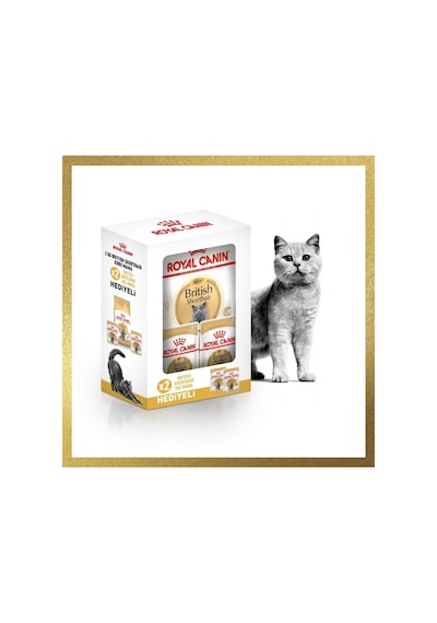 Royal Canin British Shorthair Hediye Kutulu Yetişkin Kedi Maması 2 KG