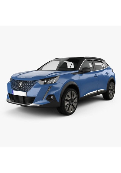 Peugeot 2008 Cam Çerçevesi - Krom 12 Parça 2020+