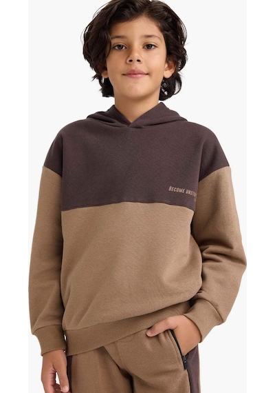 Defacto Erkek Çocuk Oversize Geniş Kalıp Kapüşonlu Baskılı İçi Yumuşak Tüylü Sweatshirt G5541a825cwbn340 Kahve-bn340 Defacto Erkek Çocuk Oversize Geniş Kalıp Kapüşonlu Baskılı İçi Yumuşak Tüylü Sweatshirt G5541a825cwbn340 Kahve-bn340