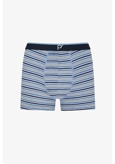 Penti Erkek Renkli Calm Lines Çoklu Boxer Çok Renkli
