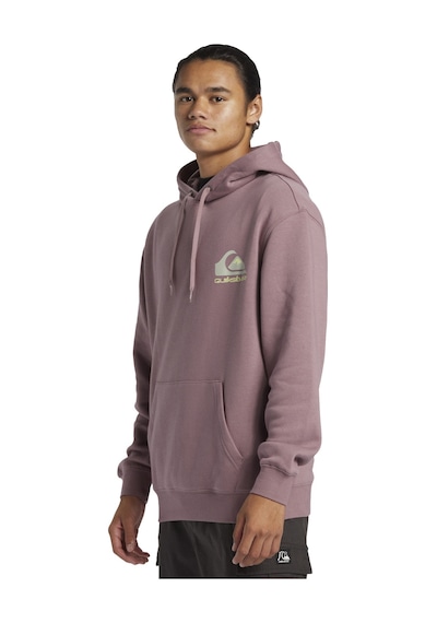 Quiksilver Omni Logo Hoodie Erkek Sweatshirt Mor