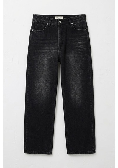 Antioch Baggy Fit Erkek Jean Antrasit
