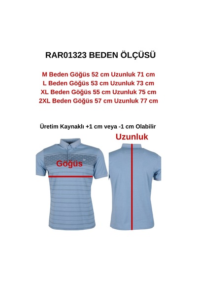 Erkek Tişört Polo Yaka Normal Kesim Desenli Rar01323 Mavi