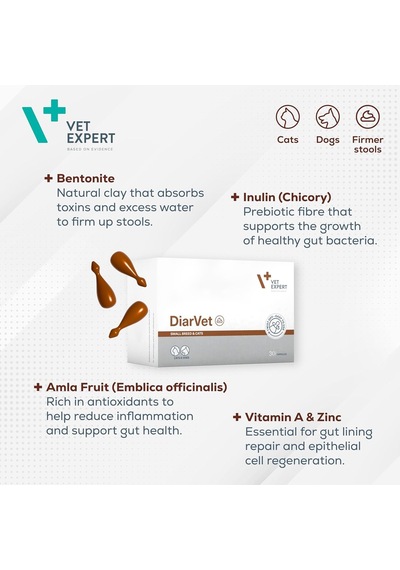 Vetexpert Diarvet Small Breed And Cats