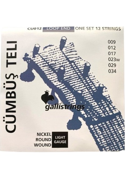 Galli Cu012 Profesyonel Cümbüş Teli Takım
