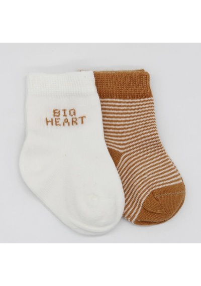 Bistyle Big Heart Penye Soket Çorap 2'li Bs10117 Hardal Hardal