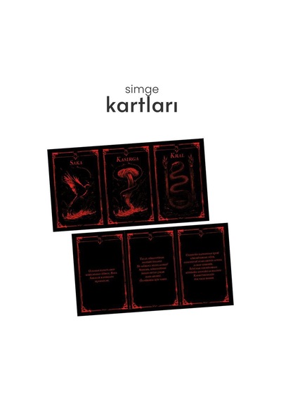 Kasırgaya Kanan Saka 1 Hediyeli Özel Kutu Ciltli