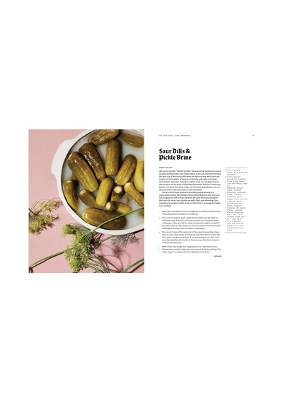 Fermenter: Dıy Fermentation For Vegan Fare, Including Recipes For Krauts, Pickles, Koji, Tempeh, Nut- & Seed-based Cheeses, Fermented Beverages & What To Do With Them
