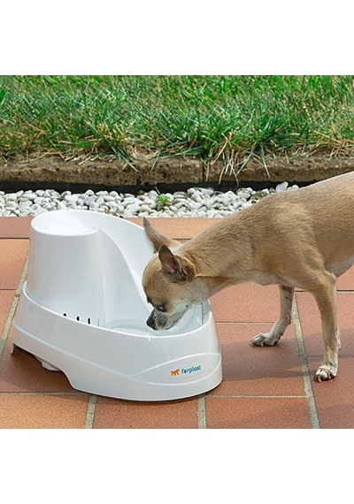 Tr Vega Otomatik Kedi Su Kabı