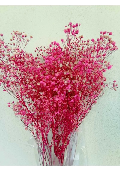 Esse Bahçe Şoklu Cipso Pembe Pembe