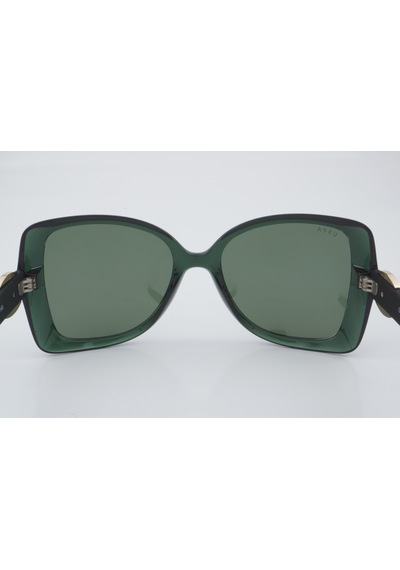 U.s. Polo Assn. Uss 0101 C5 55 - 01 Güneş Gözlüğü Yeşil