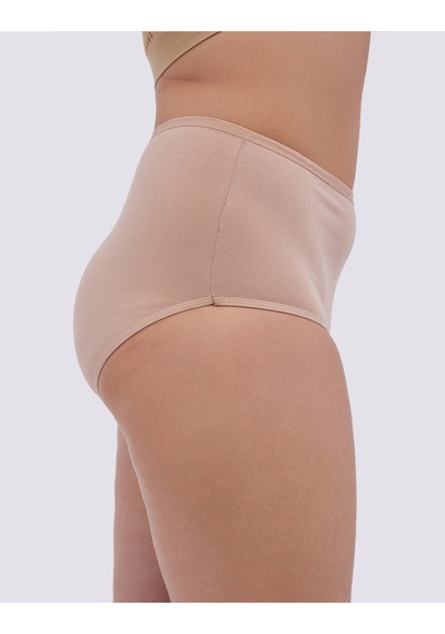 Alya Underwear Kadın Extra Battal Külot - 5 Adet Beyaz 8xl, 9xl, 10xl Çok Renkli P20