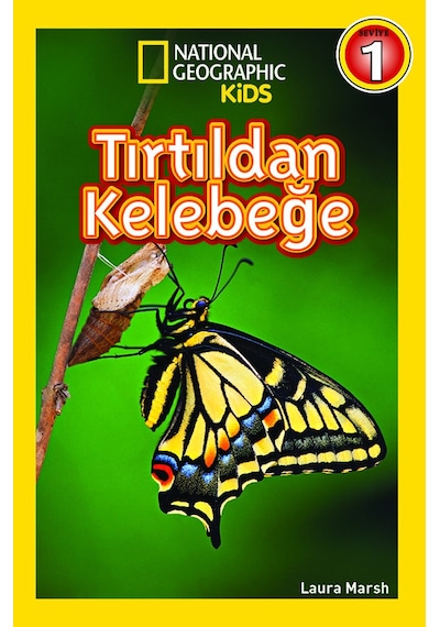 National Geographic Kids Tırtıldan  Kelebeğe