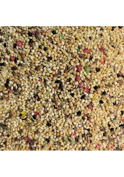 Aktar Store Renkli Kuş Yemi 250 G