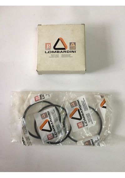 LOMBARDİNİ / İTALYAN SEGMAN (SEKMAN) +0.50MM TAKIMI KOMPLE