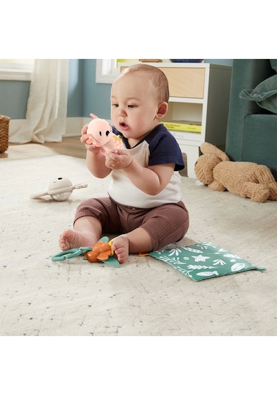 Fisher-Price Duyuları Harekete Geçiren Oyun Seti HRB17 Çok Renkli