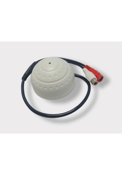 Electroon Cctv Güvenlik Kamerası Dome Mikrofon