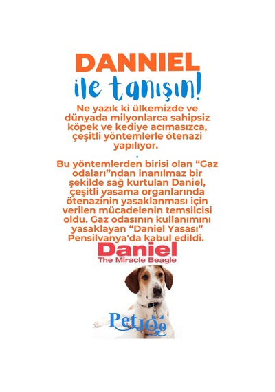 Petjoo 21.Danniel Mavi-Turuncu Qr'lı Köpek Künyesi