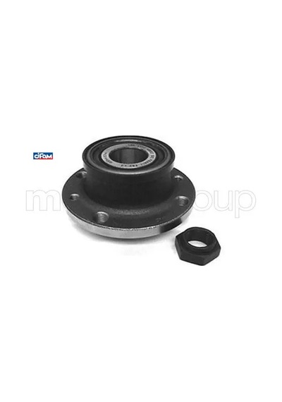 Arka Teker Poryası Rulmanlı Doblo 01 Abs Li Cıfam 46554134/ 46554135/ 71729121/ 71737769
