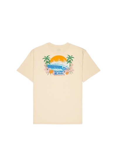 Quiksilver Quıksılver Ev Barrel Parad 6481 Bej