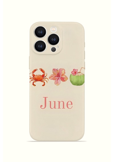 Apple iPhone Uyumlu 16 Pro Vorian İnce Kamera Korumalı Mika Kılıf June Seaside June Seaside Mika