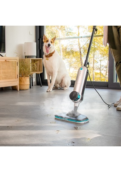 Hydrosteam 3030 Blaze Dikey Buharlı Paspas
