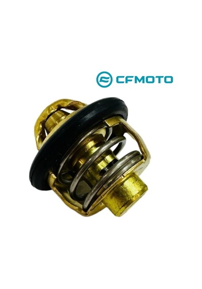 Cf Moto Termostat  - Cf Moto Nk 250