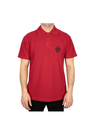 Pink Floyd Crazy Diamond Polo Yaka Renkli Tişört Gri