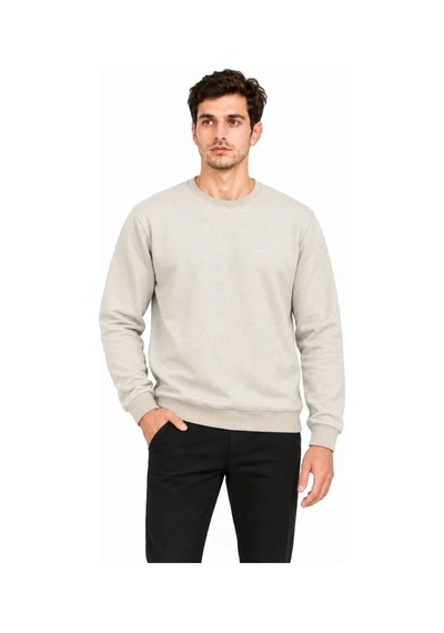 Erkek Bisiklet Yaka İçi Şardonlu 2 İplik Düz Uzun Kollu Regular Fit Sweatshirt - Gri