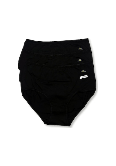 3'lü Paket Kadın Külot 001