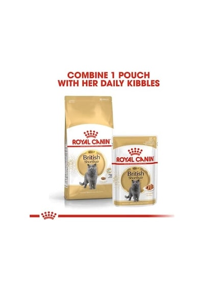 Royal Canin British Shorthair Konserve 85 Gr X 12 Adet